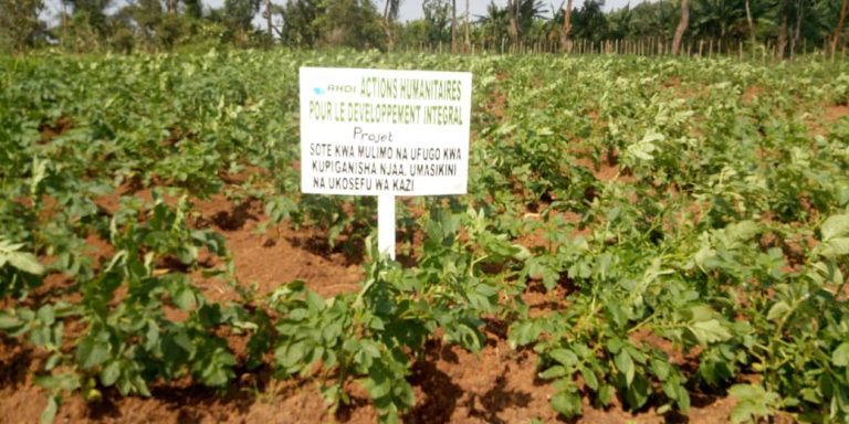 AHDI DANS SES OEUVRES: TOUS POUR L&rsquo;AGRICULTURE ET L&rsquo;ELEVAGE