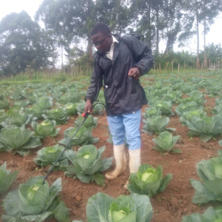 Agriculture, un moyen efficace d&rsquo;encadrer les personnes vulnérables et organiser leur réinsertion socio-économique